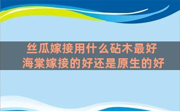 丝瓜嫁接用什么砧木最好 海棠嫁接的好还是原生的好